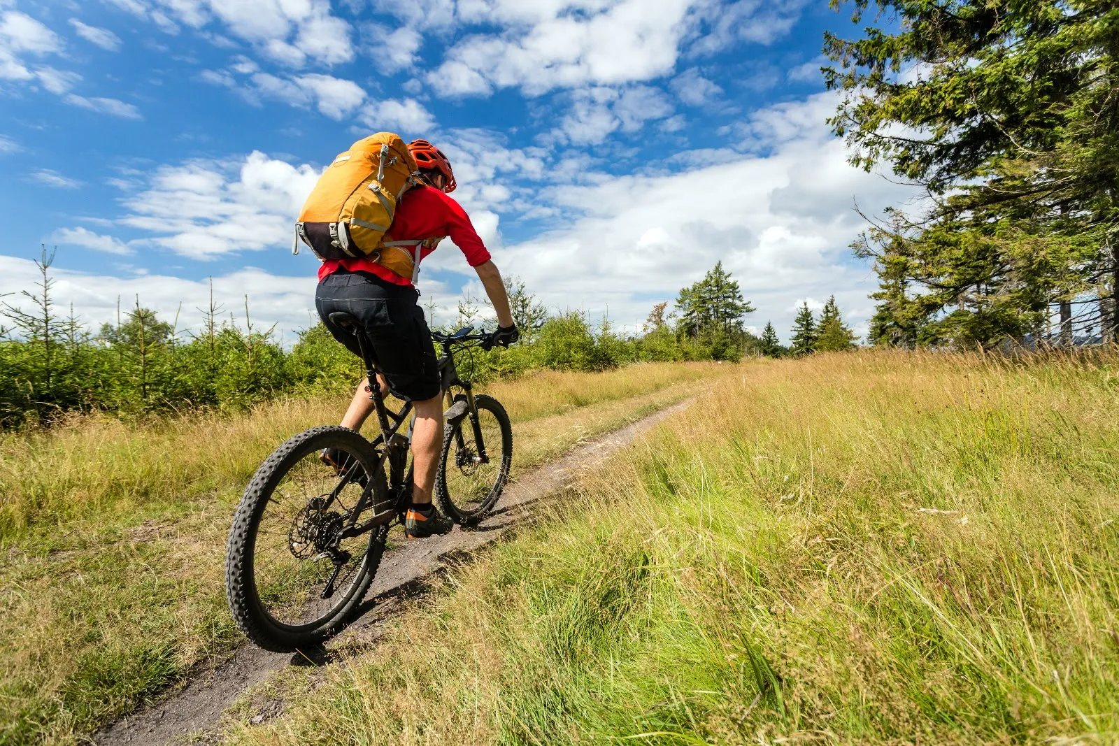 Disc Injuries in Athletes: Prevention and Recovery Strategies