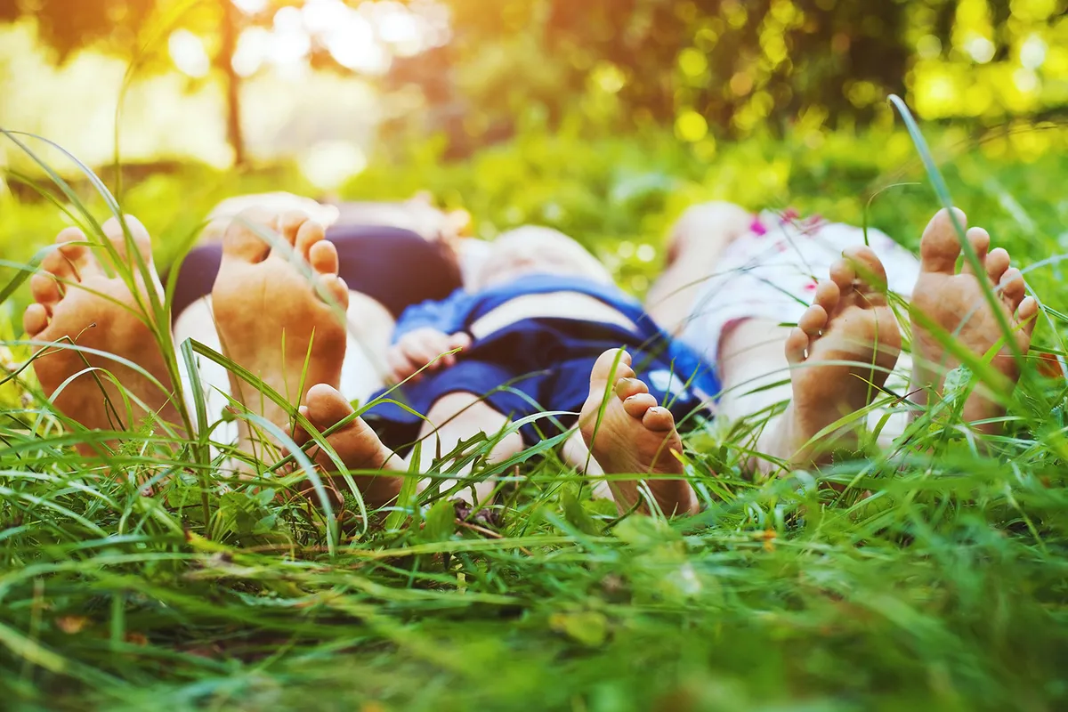 Wellness Care Chiropractic Care Treatment